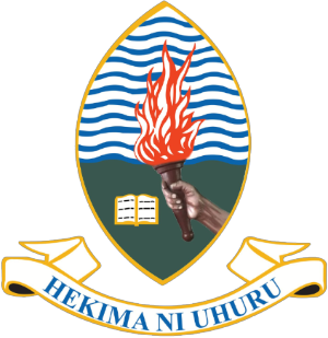 UDSM Logo